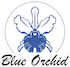 Blueorchid Co.,Ltd.